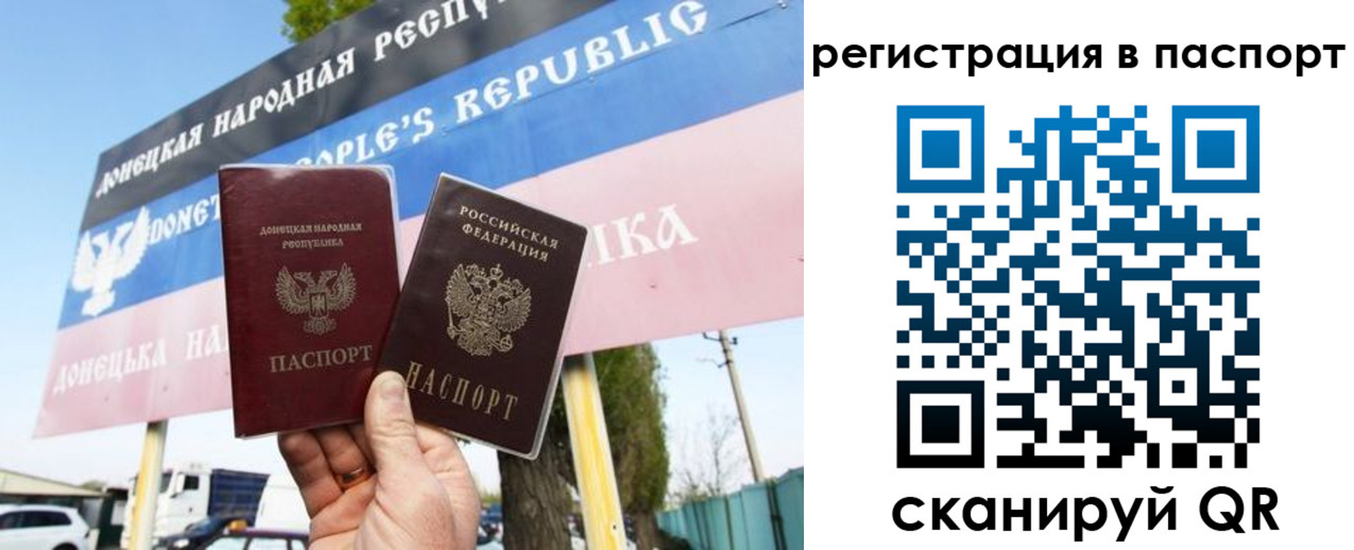 прописка поиск в Курчалом